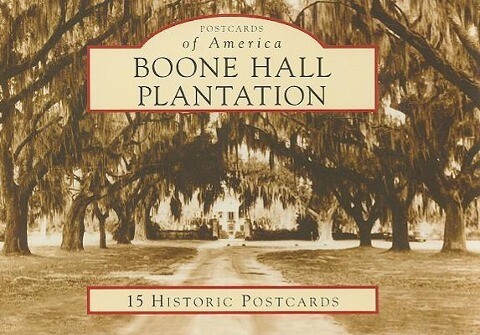 Boone Hall Plantation - Michelle Adams