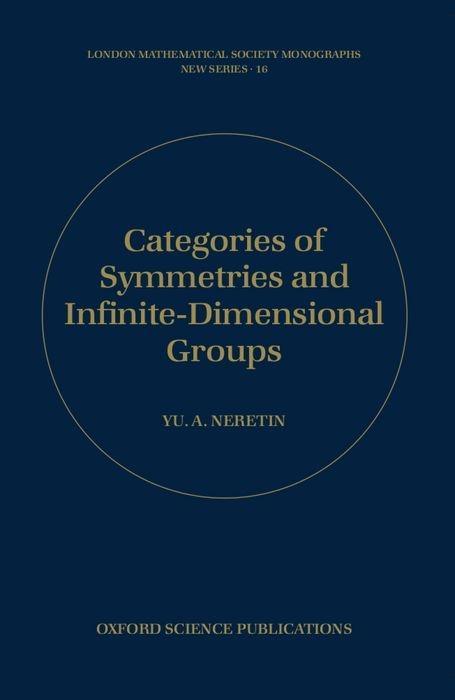 Categories of Symmetries and Infinite-Dimensional Groups