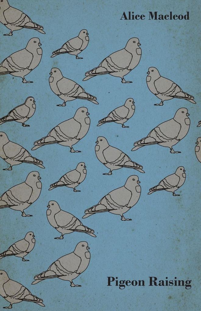 Pigeon Raising