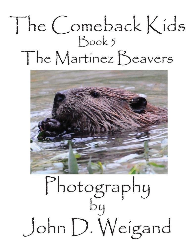 The Comeback Kids Book 5 The Martinez Beavers