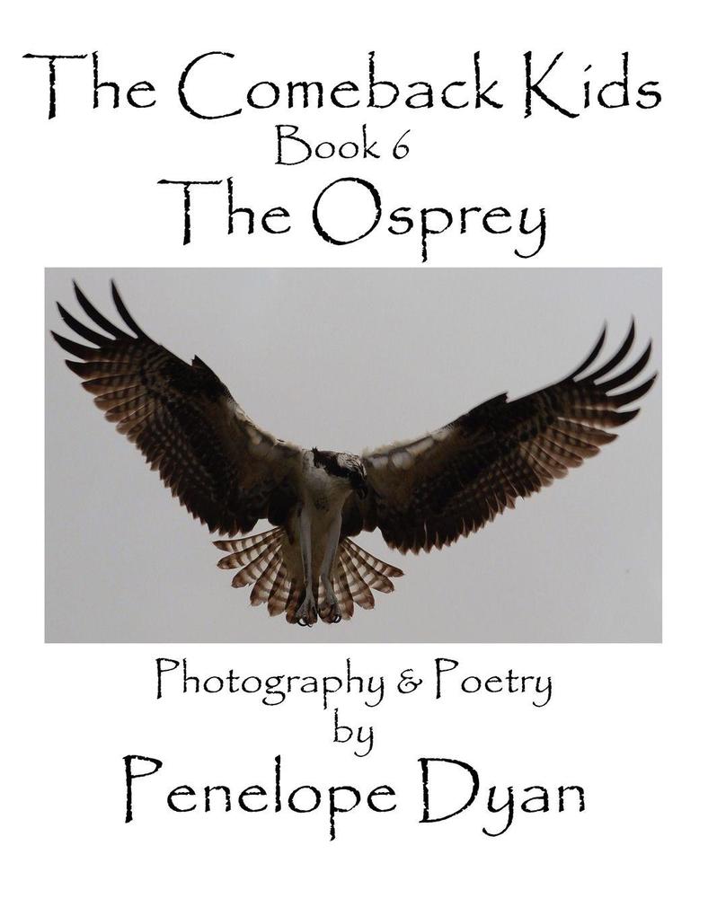 The Comeback Kids Book 6 The Osprey