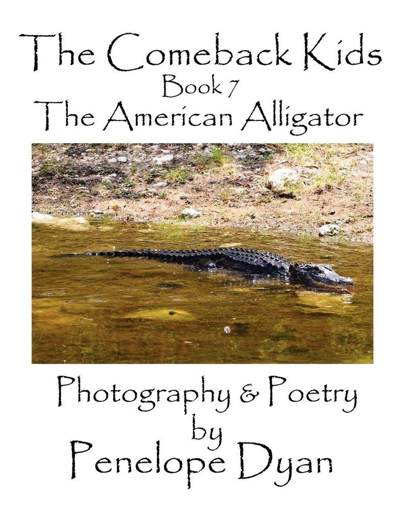 The Comeback Kids Book 7 The American Alligator