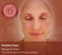 Meditations for Transformation-Merge & Flow