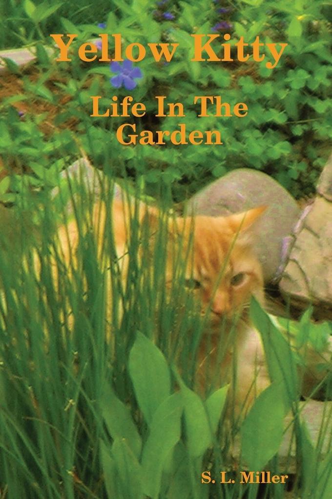 Yellow Kitty Life In The Garden