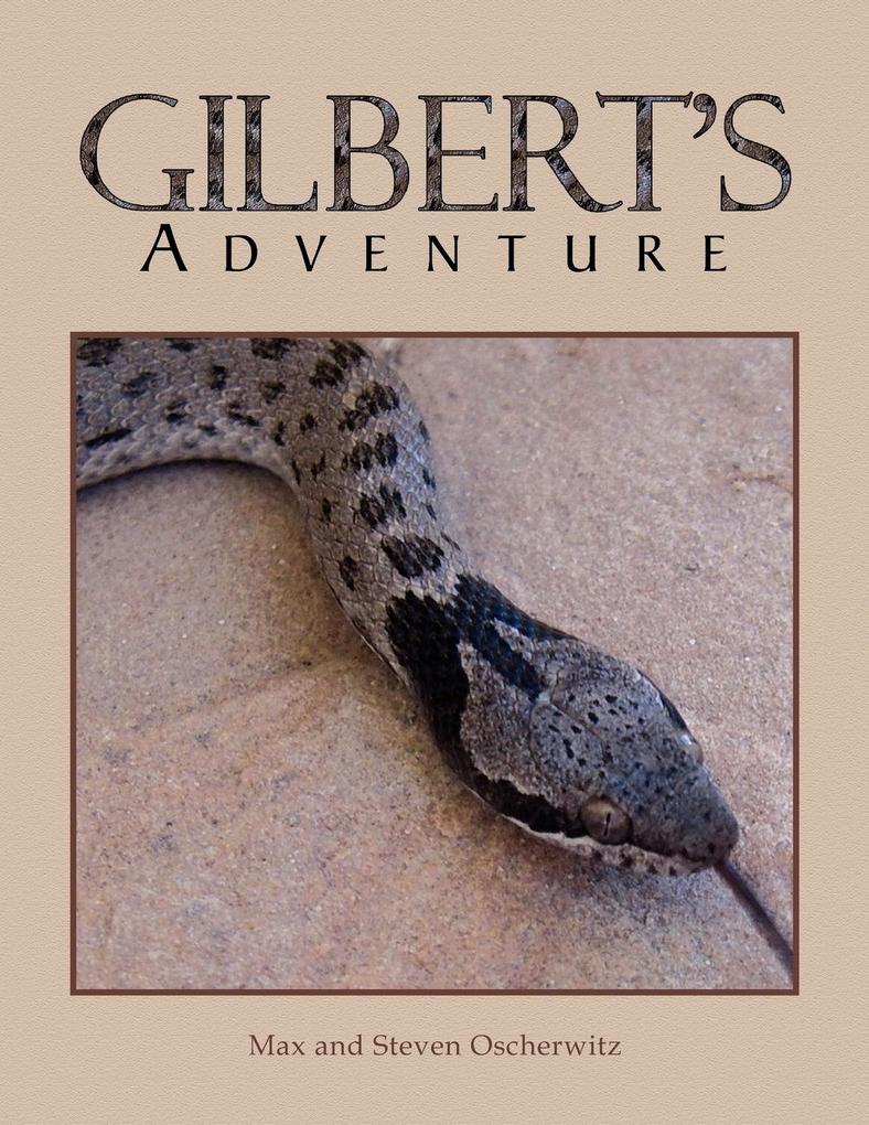Gilbert‘s Adventure