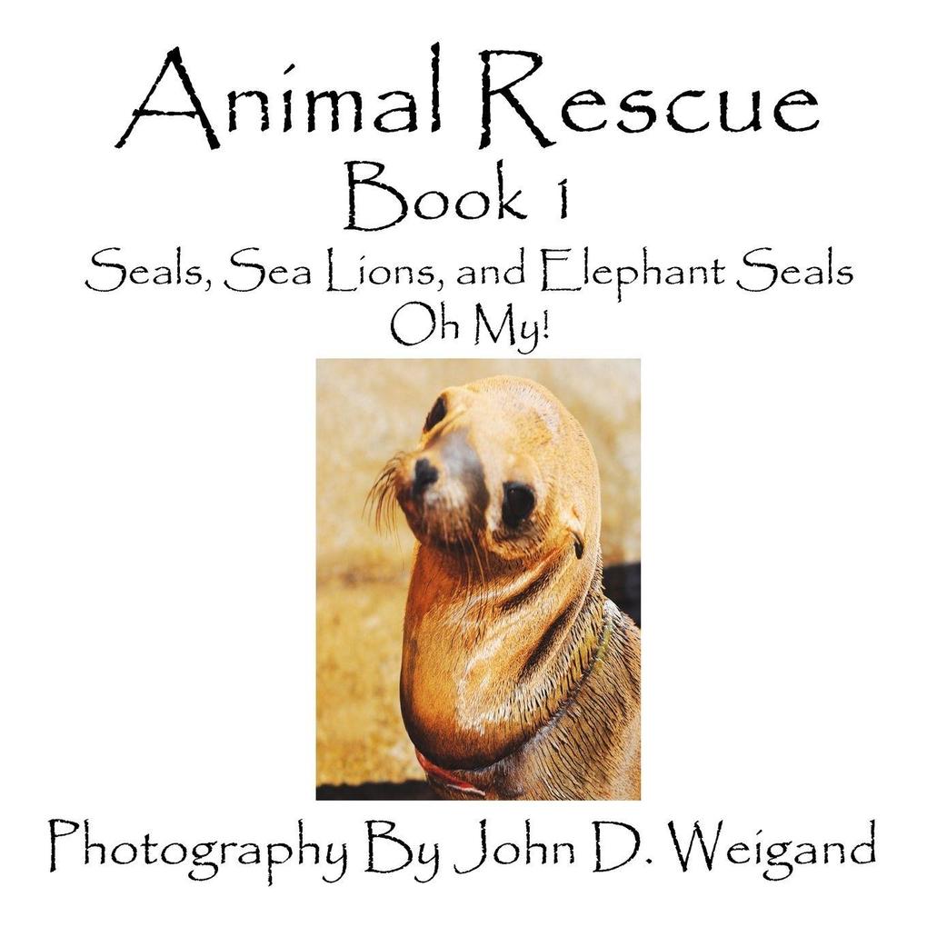 Animal Rescue Book 1 Seals Sea Lions And Elephant Seals Oh My!