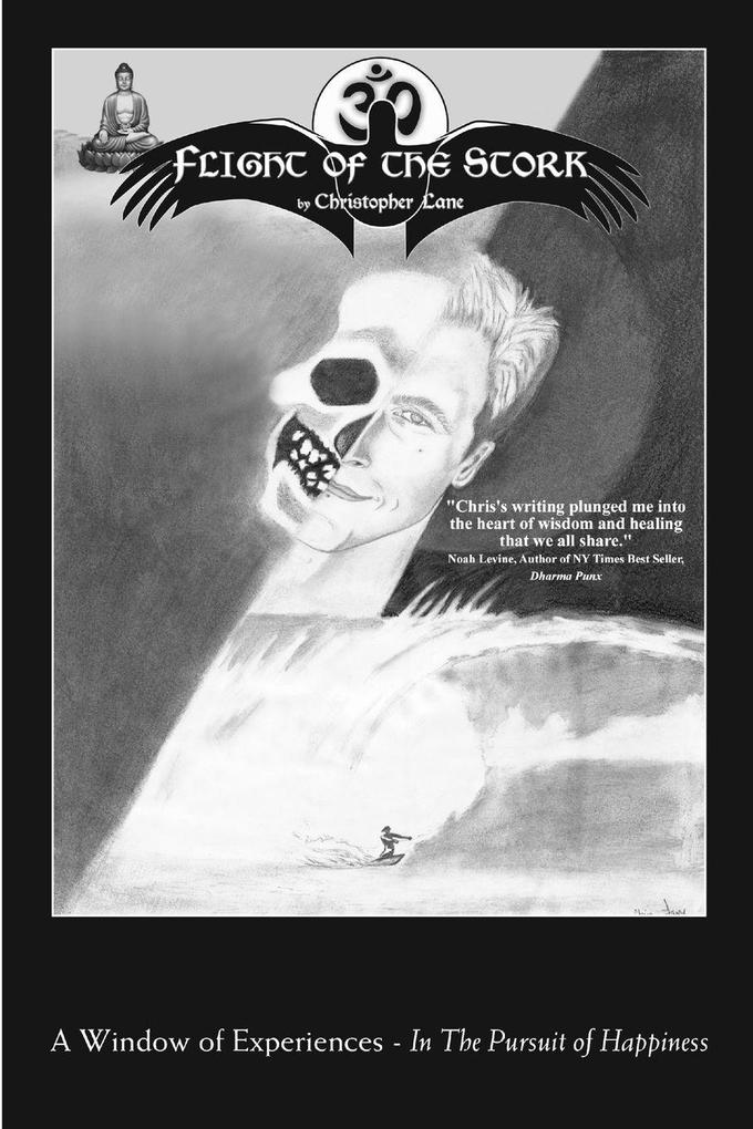 Flight of the Stork
