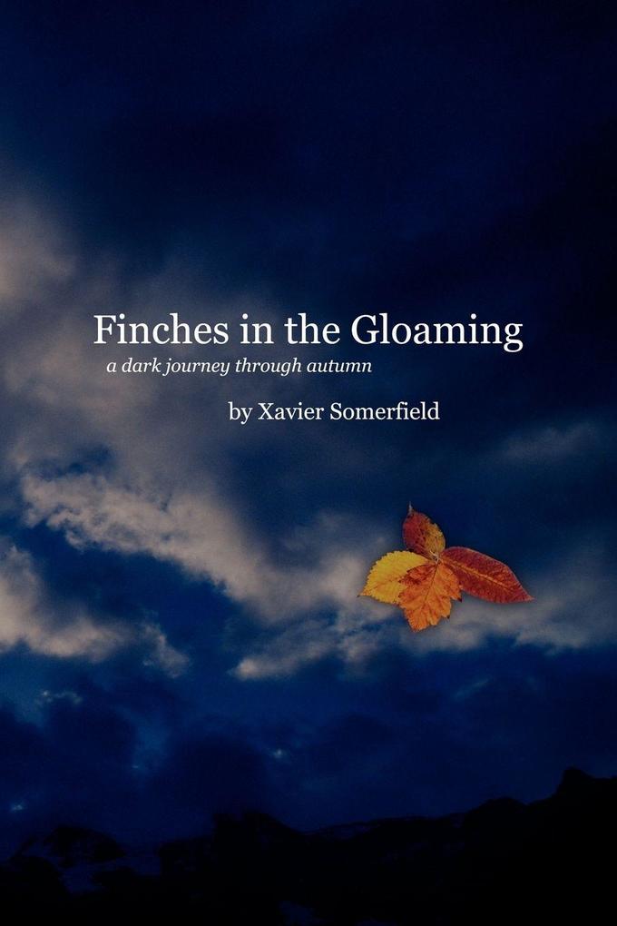 Finches in the Gloaming