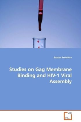 Studies on Gag Membrane Binding and HIV-1 Viral Assembly - Paxton Provitera