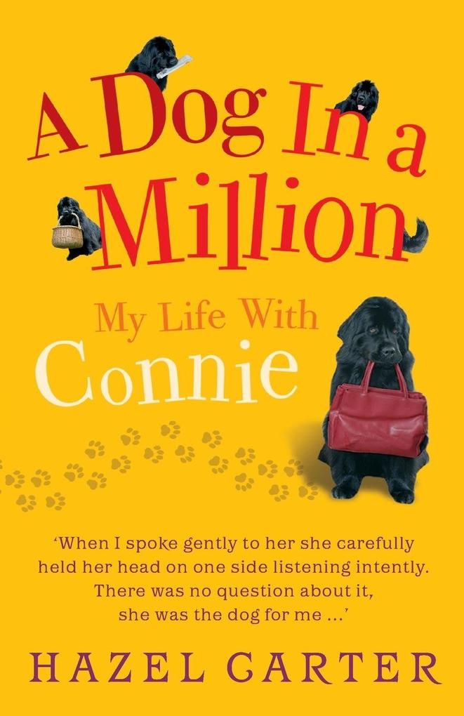 A Dog in a Million