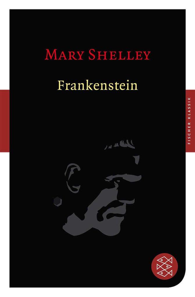 Frankenstein: Roman (Fischer Klassik) - Bild 3