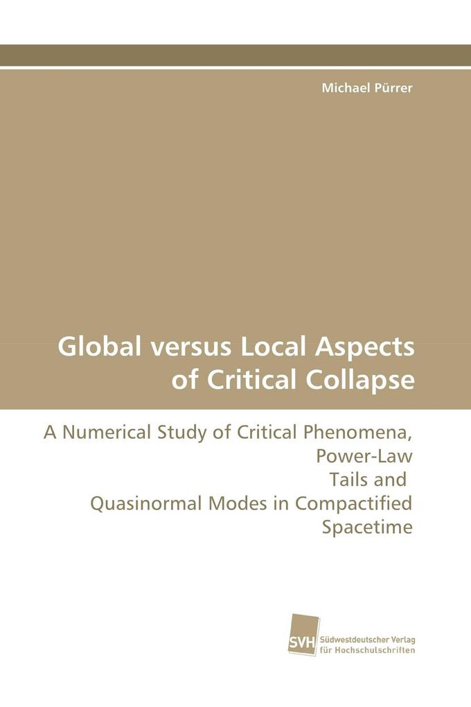Global versus Local Aspects of Critical Collapse