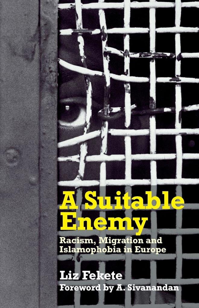 A Suitable Enemy