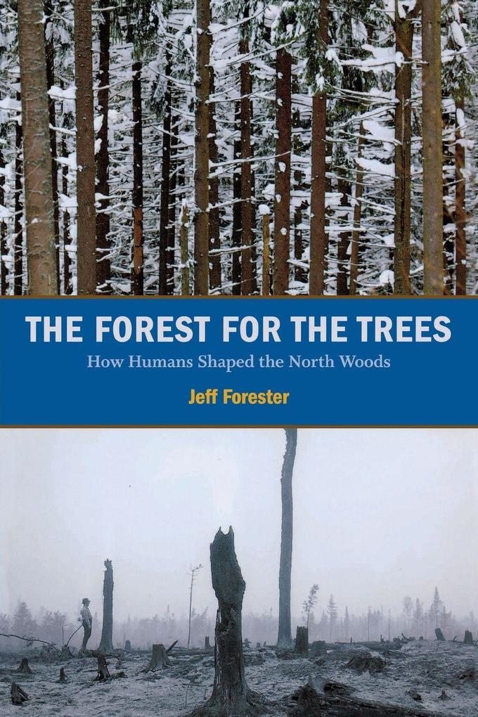 The Forest for the Trees