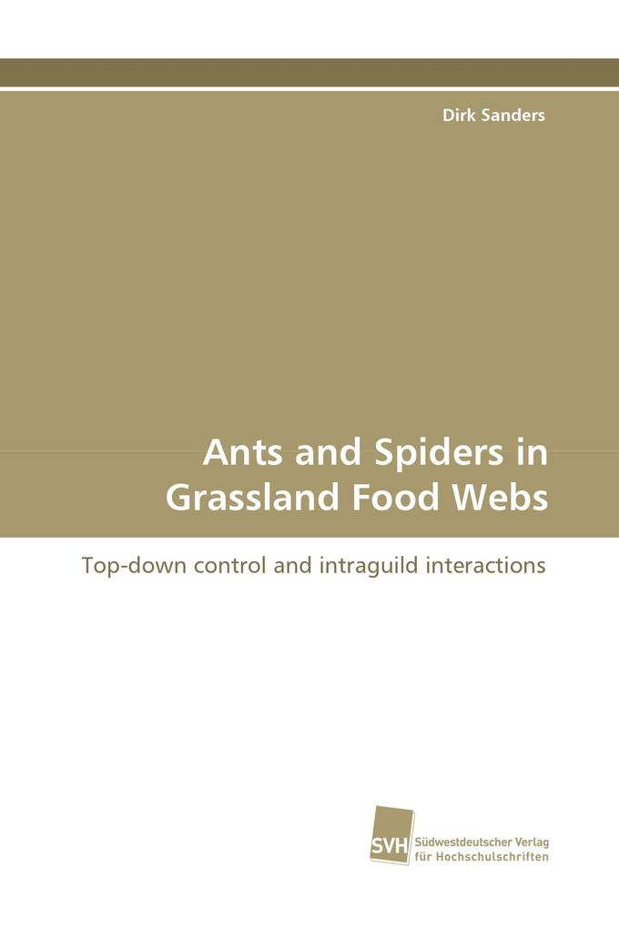 Ants and Spiders in Grassland Food Webs