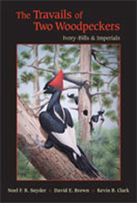 The Travails of Two Woodpeckers: Ivory-Bills & Imperials - Noel F. R. Snyder/ David E. Brown/ Kevin B. Clark