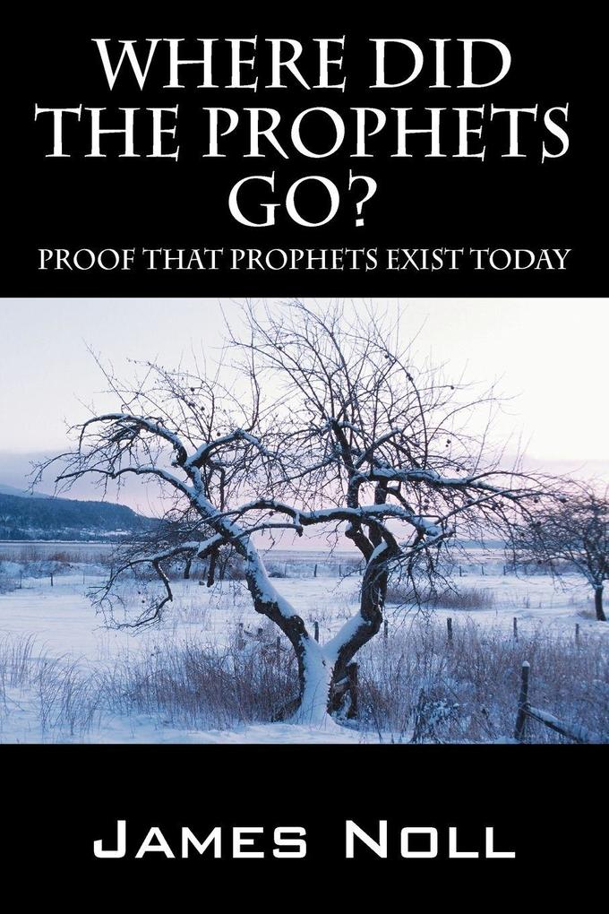 Where Did The Prophets Go?