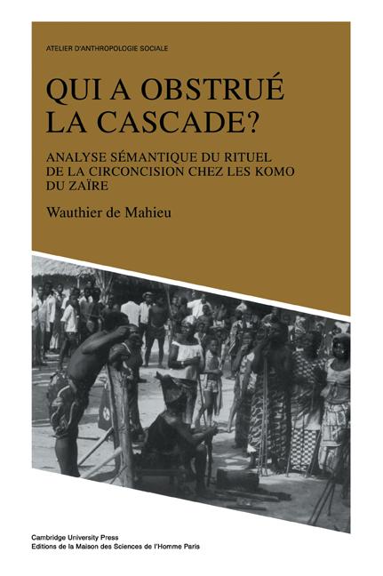 Qui a Obstru La Cascade?