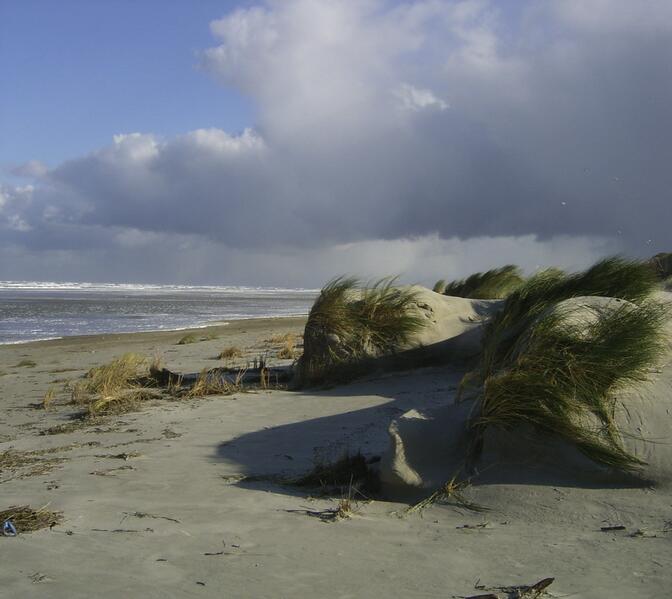 Juist mehr als nur Sand