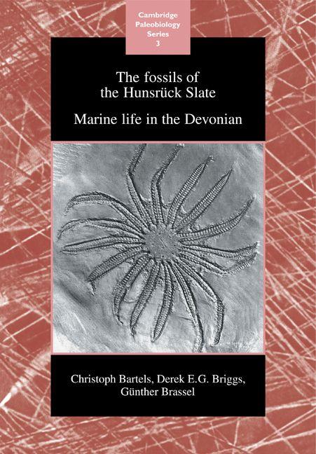 The Fossils of the Hunsruck Slate
