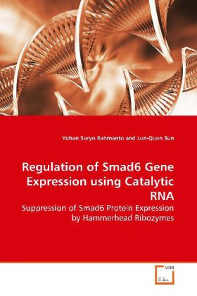 Regulation of Smad6 Gene Expression using Catalytic RNA - Yohan Suryo Rahmanto