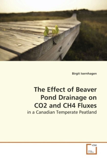 The Effect of Beaver Pond Drainage on CO2 and CH4 Fluxes