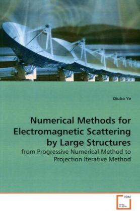 Numerical Methods for Electromagnetic Scattering by Large Structures - Qiubo Ye