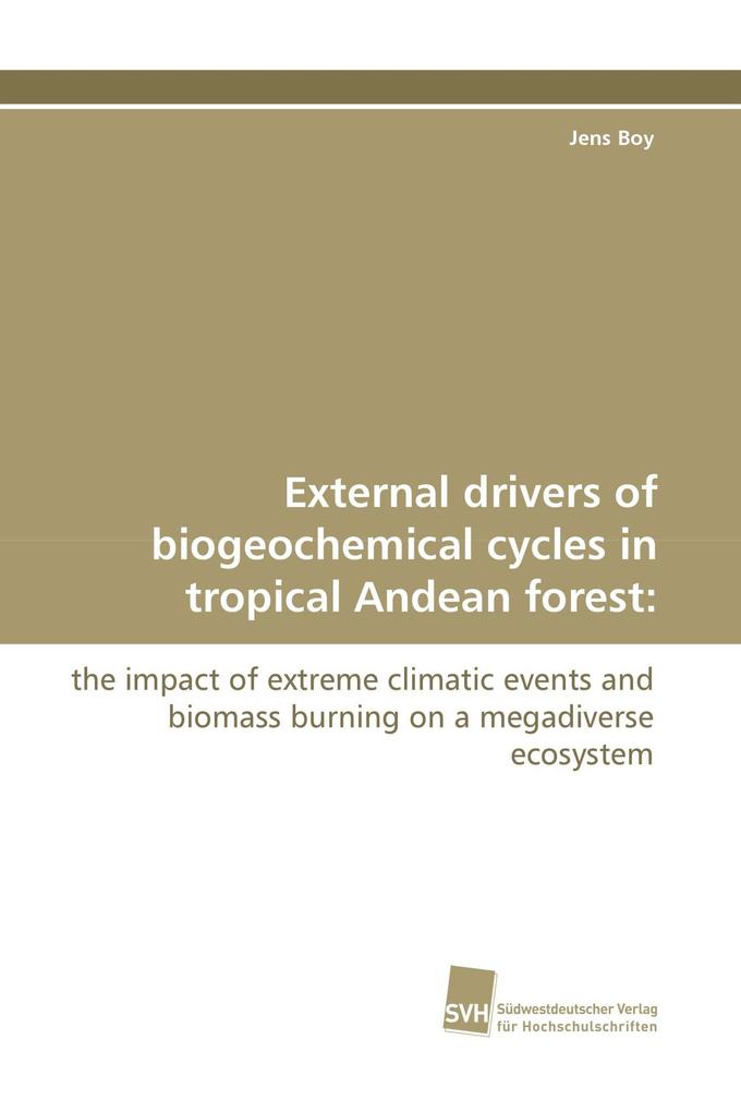 External drivers of biogeochemical cycles in tropical Andean forest: