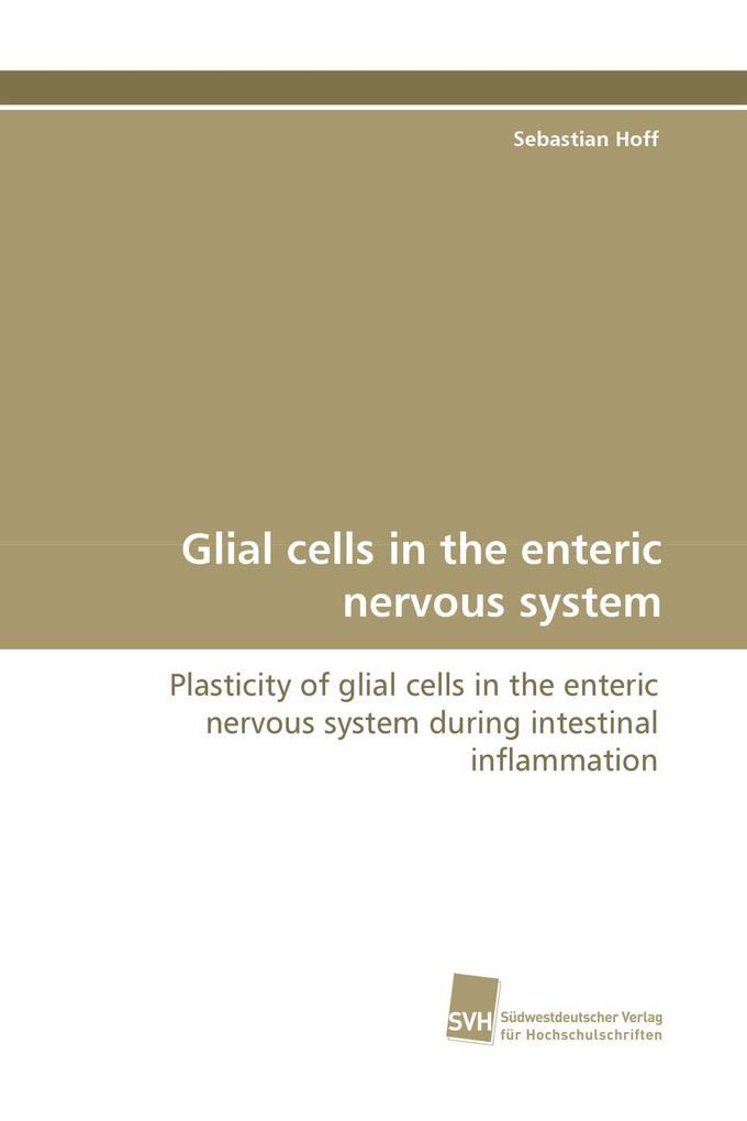 Glial cells in the enteric nervous system