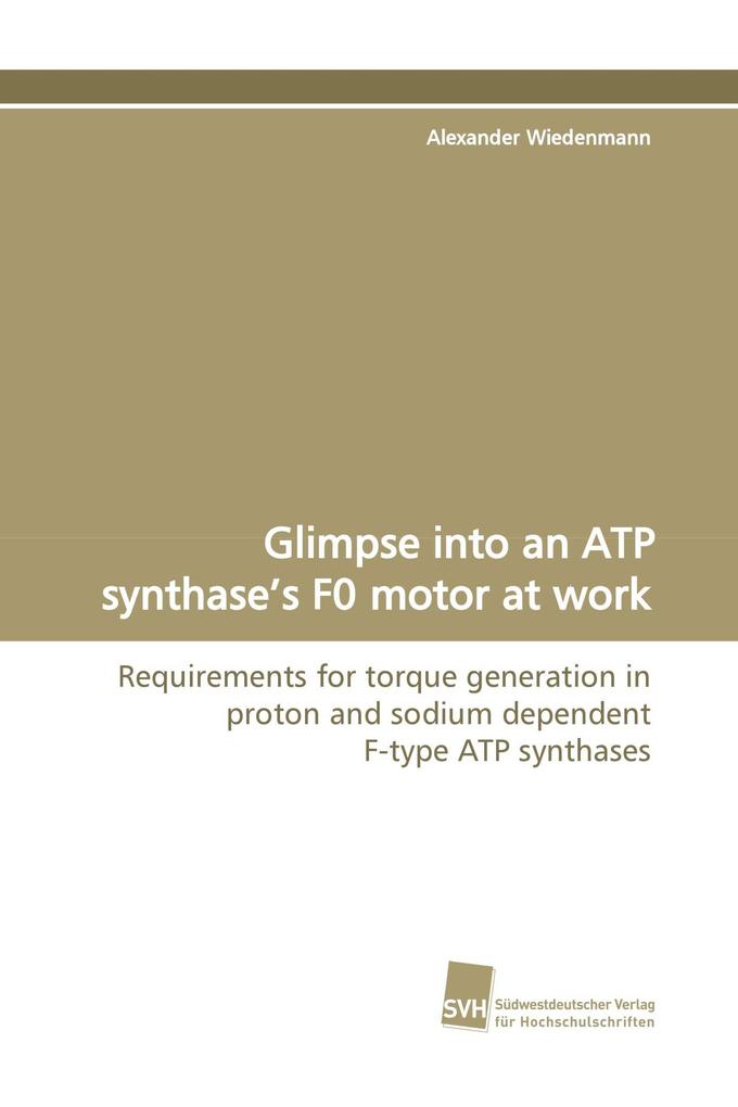 Glimpse into an ATP synthase's F0 motor at work