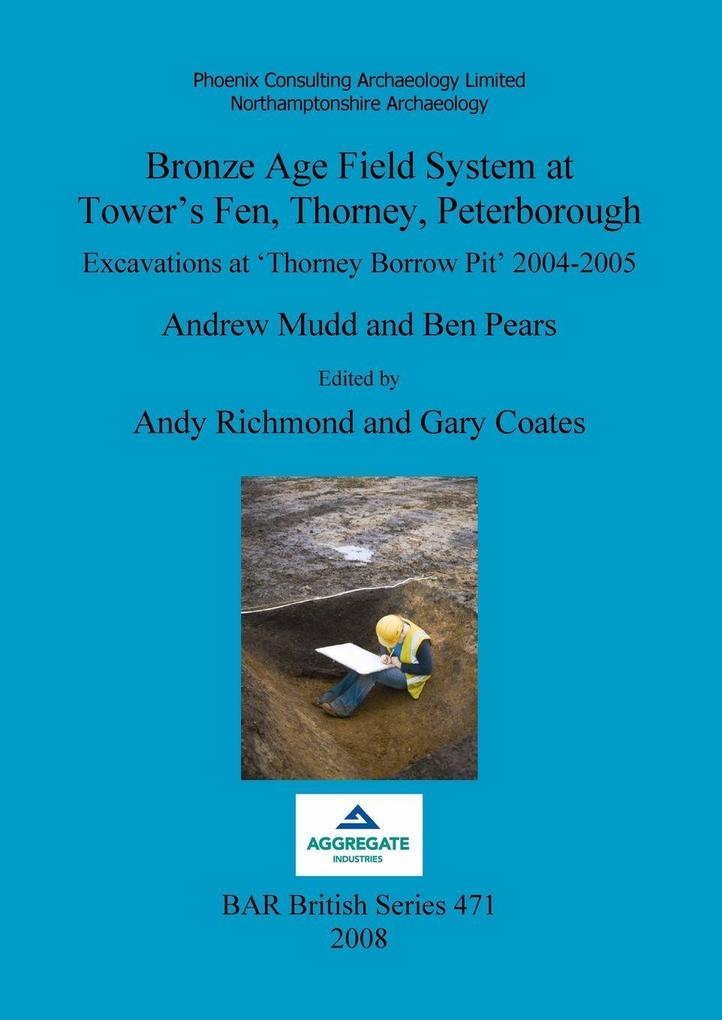Bronze Age Field System at Tower's Fen Thorney Peterborough