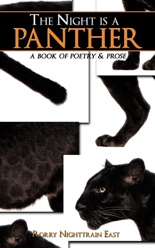 The Night is a Panther