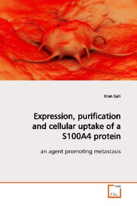 Expression purification and cellular uptake of a S100A4 protein - stian sjøli