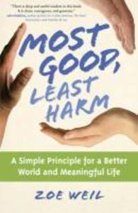 Most Good Least Harm