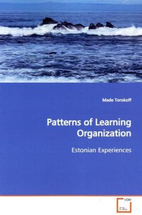 Patterns of Learning Organization - Made Torokoff