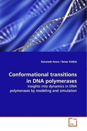 Conformational transitions in DNA polymerases - Karunesh Arora
