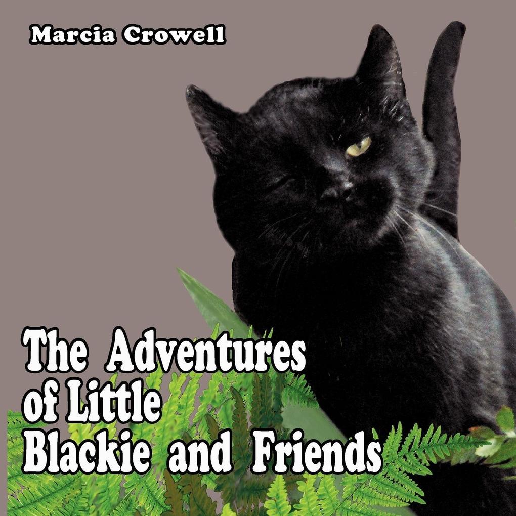 The Adventures of Little Blackie and Friends
