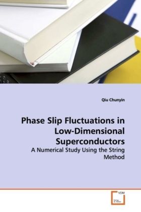 Phase Slip Fluctuations in Low-Dimensional Superconductors - Qiu Chunyin