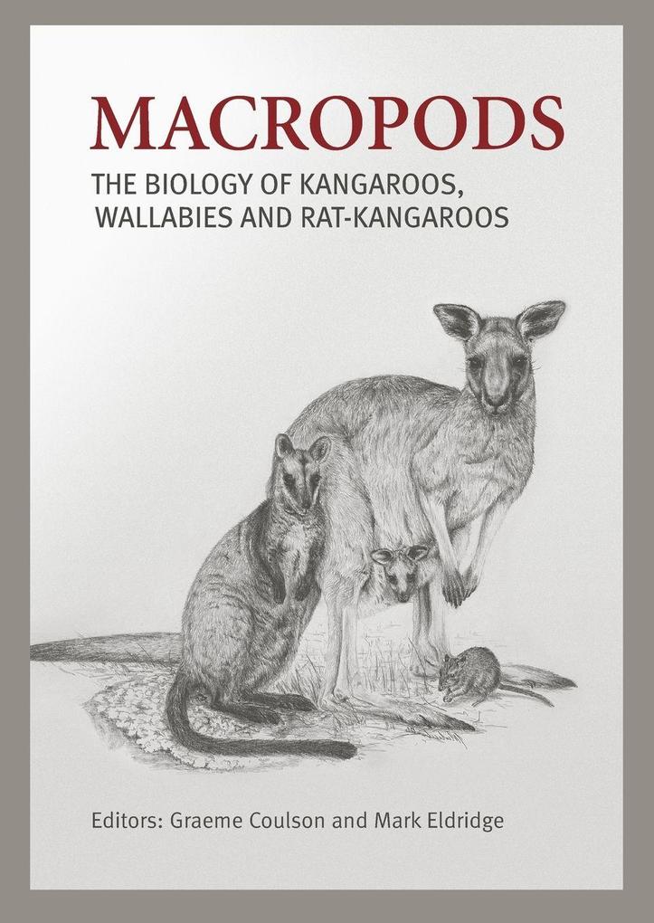 Macropods