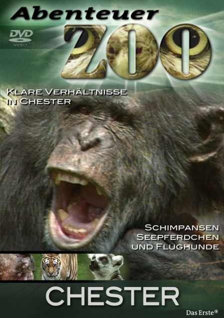 Abenteuer Zoo