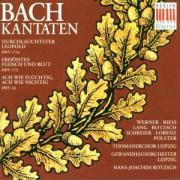 Kantaten BWV 173a/173/26