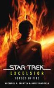 Star Trek: Excelsior: Forged in Fire