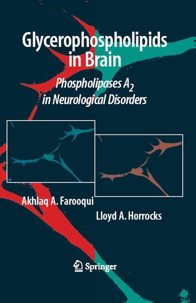 Glycerophospholipids in the Brain