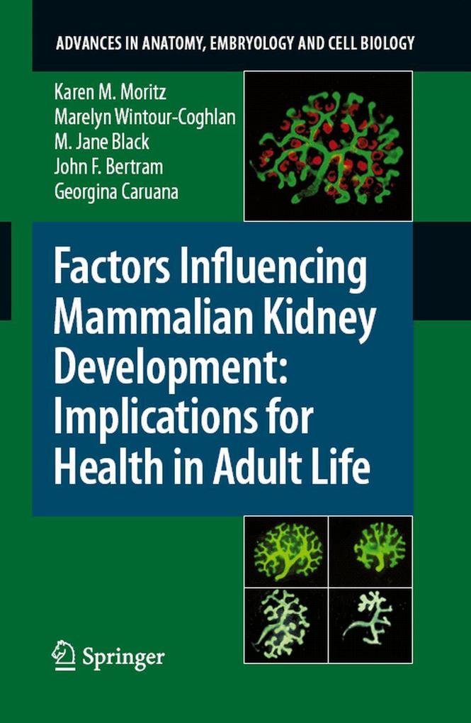 Factors Influencing Mammalian Kidney Development: Implications for Health in Adult Life