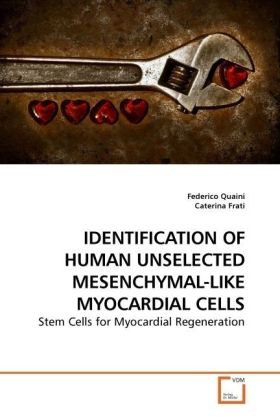 IDENTIFICATION OF HUMAN UNSELECTED MESENCHYMAL-LIKE MYOCARDIAL CELLS