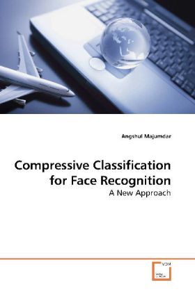 Compressive Classification for Face Recognition - Angshul Majumdar