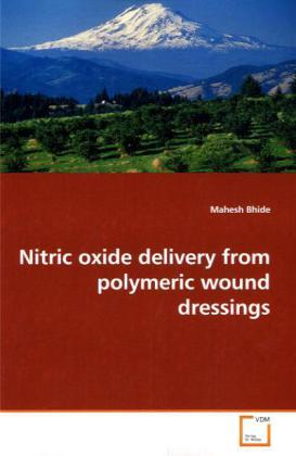 Nitric oxide delivery from polymeric wound dressings