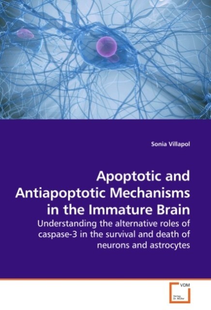 Apoptotic and Antiapoptotic Mechanisms in the Immature Brain