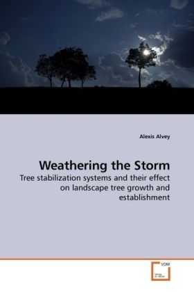Weathering the Storm - Alexis Alvey