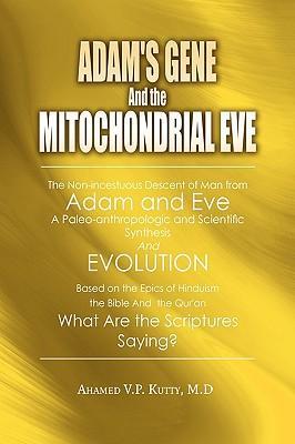 Adam‘s Gene and the Mitochondrial Eve